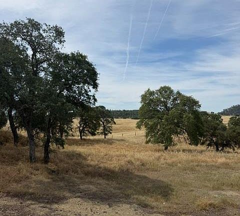 5th image of 5134 Little John Rd