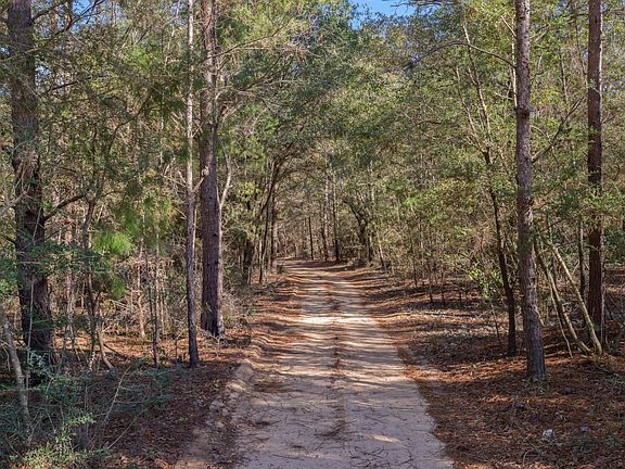 4th image of 478 High Lonesome Rd