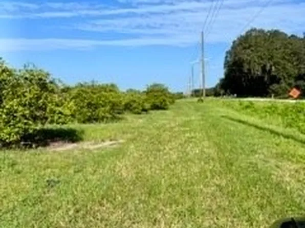 Steve Roberts Special Rd, Zolfo Springs, FL 33890
