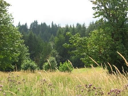 View of back of property