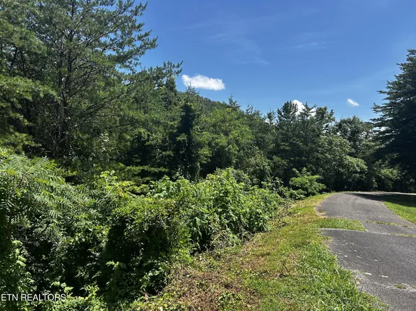 0 Highlands Bluff Rd Lot 6B, Tellico Plains, TN 37385