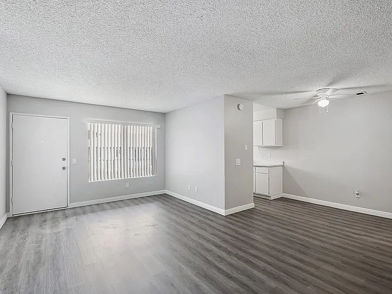 Living Room and Kicthen