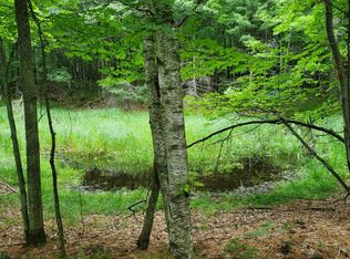 Birk Dr, Minocqua, WI 54548