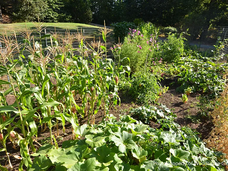 Community Garden