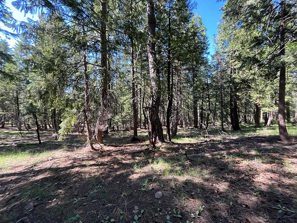 2761 Quincy La Porte Rd, Strawberry Valley, CA 95981 MLS 223061840 Zillow