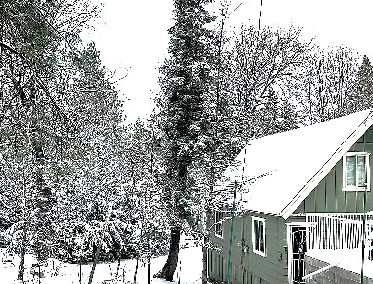2418 Fir Dr — Photo 47