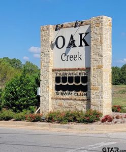 4648 Flat Creek Cv LOT 28, Tyler, TX, 75703