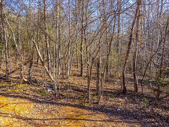 3rd image of 0 Country Walk
