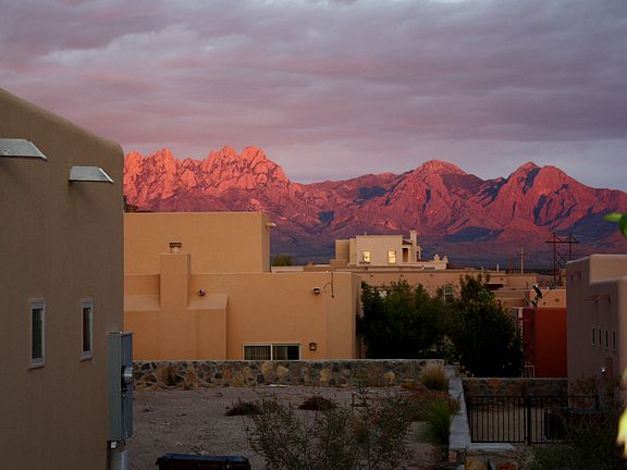 Organ Mountains View Summer