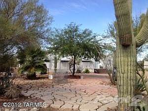 Front Saguaro