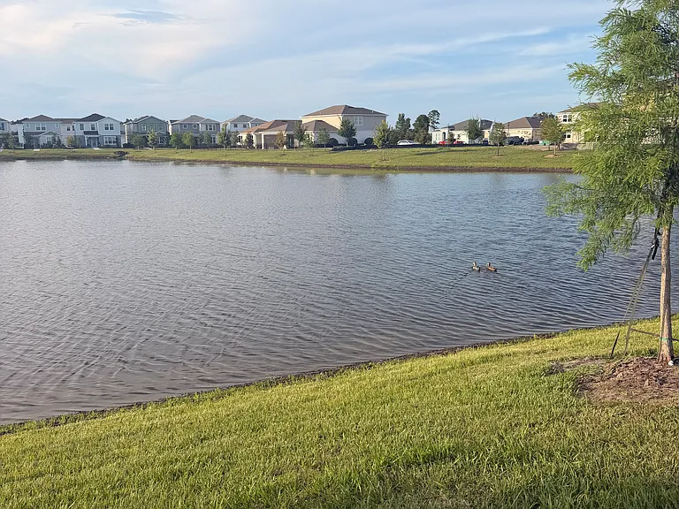 5051 Starling Bird Lane St — Photo 30