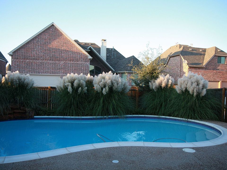 backyard pool 