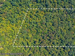 0 Lewis Jones Rd, Elkton, KY 42220