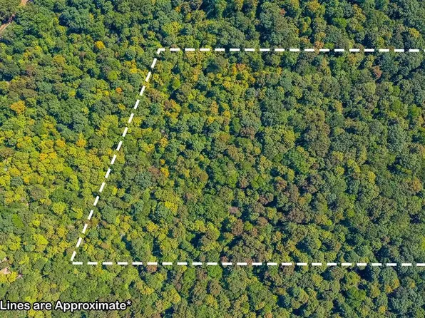 0 Lewis Jones Rd, Elkton, KY 42220