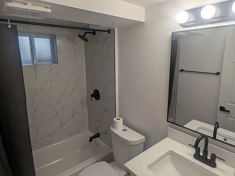 Private basement bathroom
