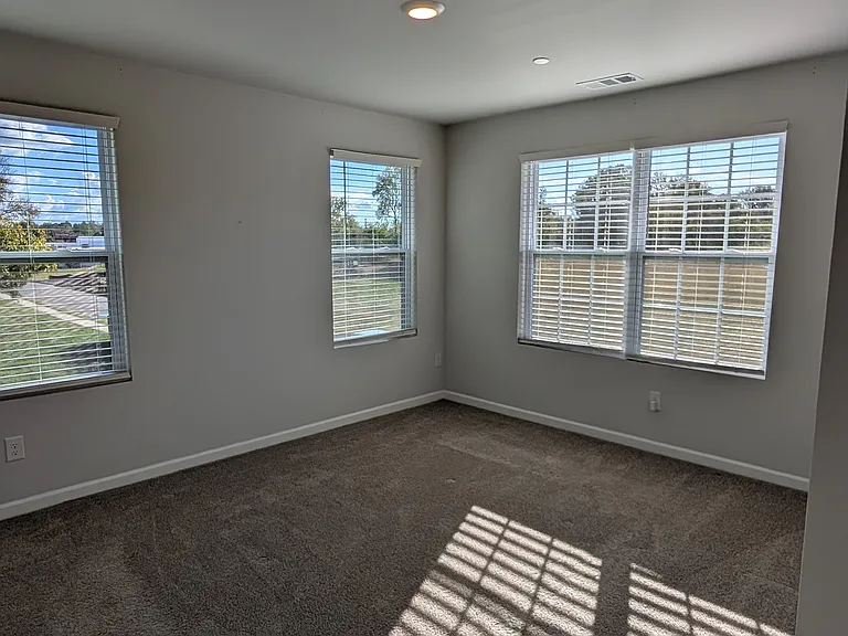163 Dale Mires Ln — Photo 25