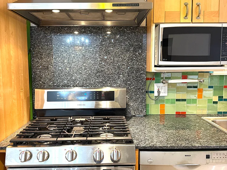 Bosch dishwasher, Samsung range and vented stainless hood.
