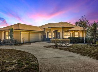 13101 Shadow Run Blvd, Riverview, FL 33569