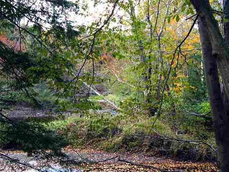 4th image of Lot 10A MOSSY HILL Road