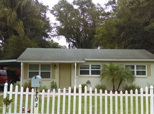 703 Jenkins St, Kissimmee, FL 34741