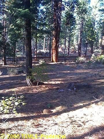 2nd image of 8849 Speckled Ave