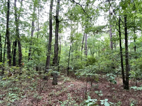 (undisclosed Address), Pleasant Grove, AR 72567