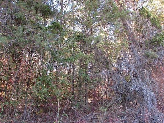 4th image of 0 Jackson Dr Lot 9