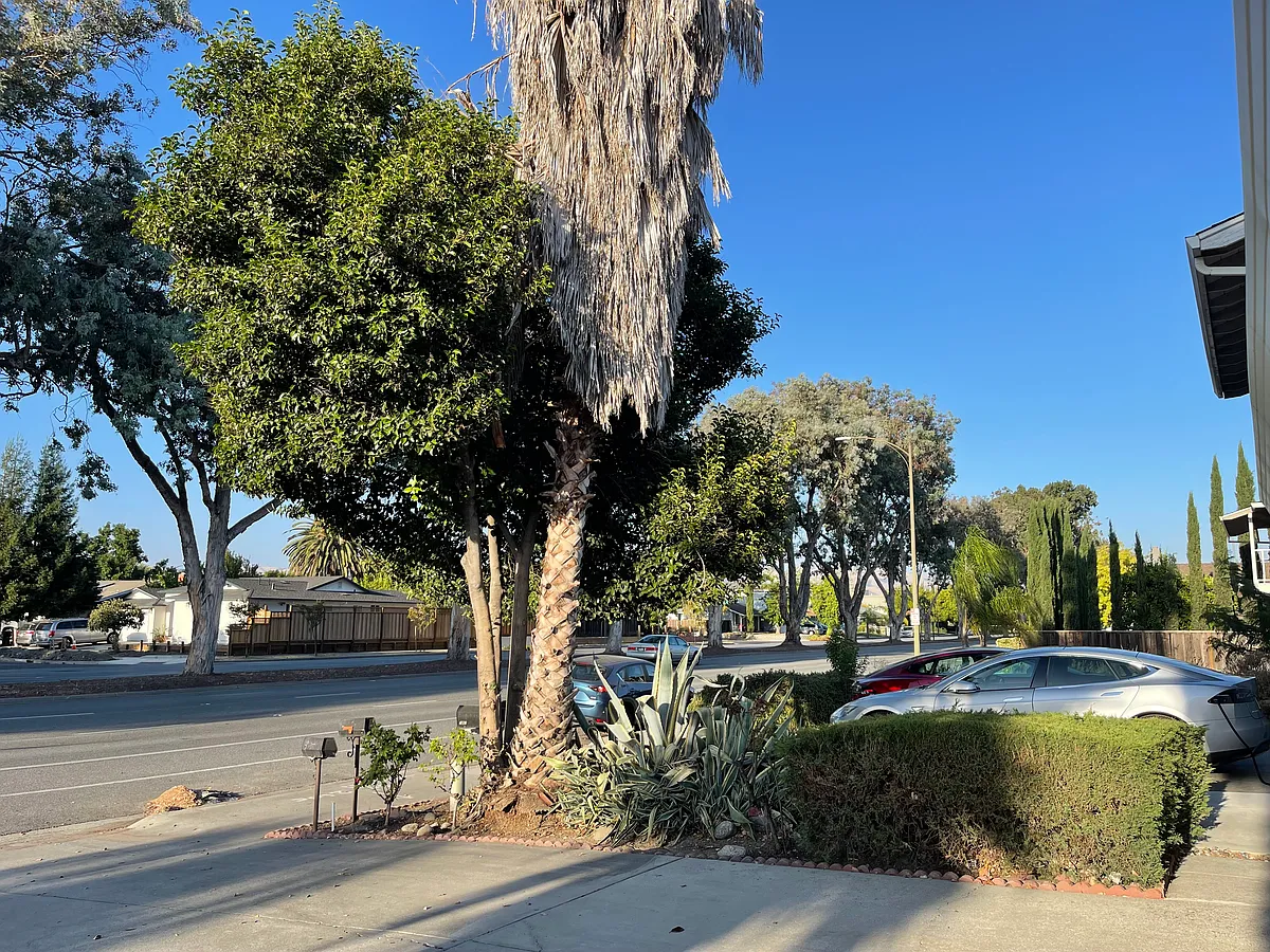 Building Photo - 5865 Santa Teresa Blvd