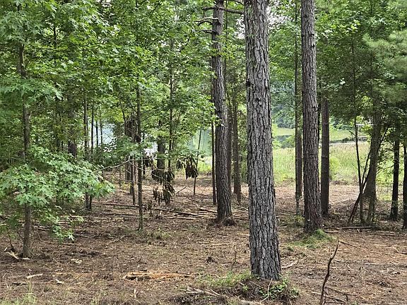 5th image of 38 Paint Creek Overlook Ln #38
