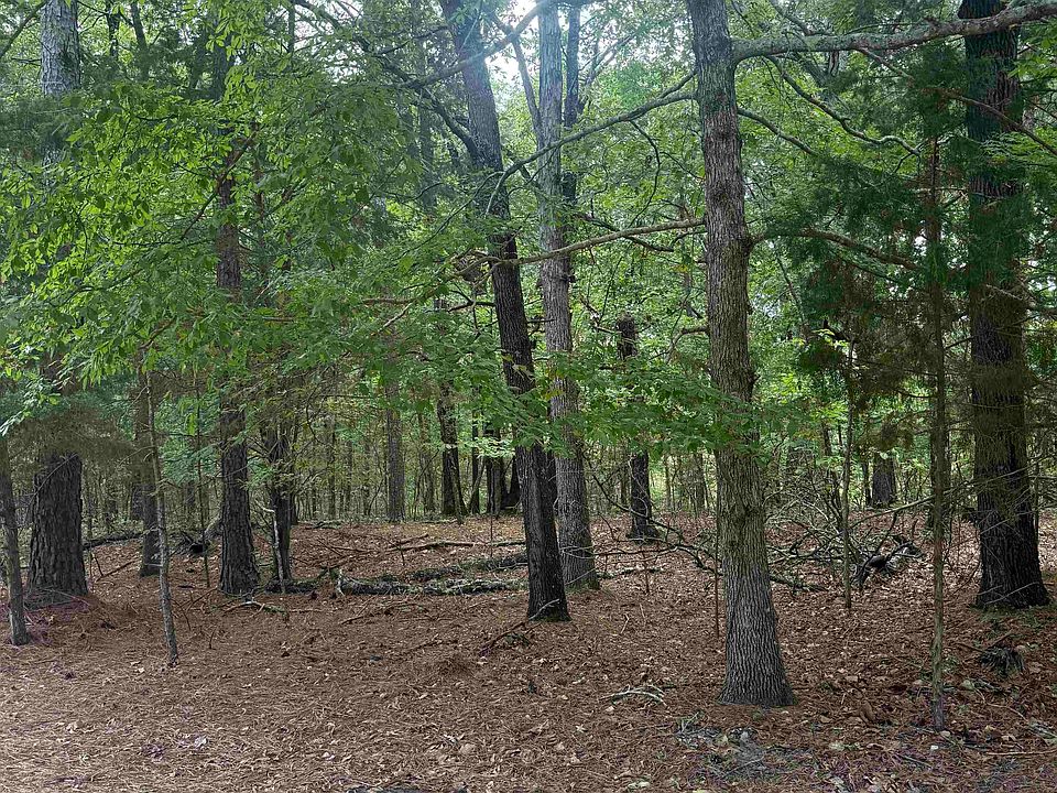 2nd image of Bishop Rd Lot 240