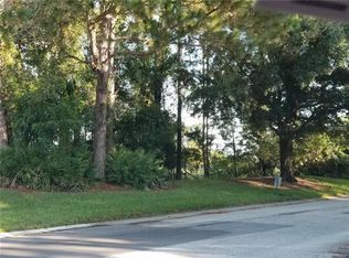 12405 Eagles Entry Dr, Odessa, FL 33556
