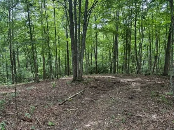 3 S Pittsburg Mountain Rd #B, South Pittsburg, TN 37380