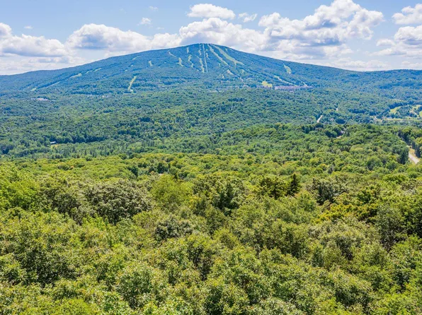 4.1 Pearl Buck Drive, Winhall, VT 05340