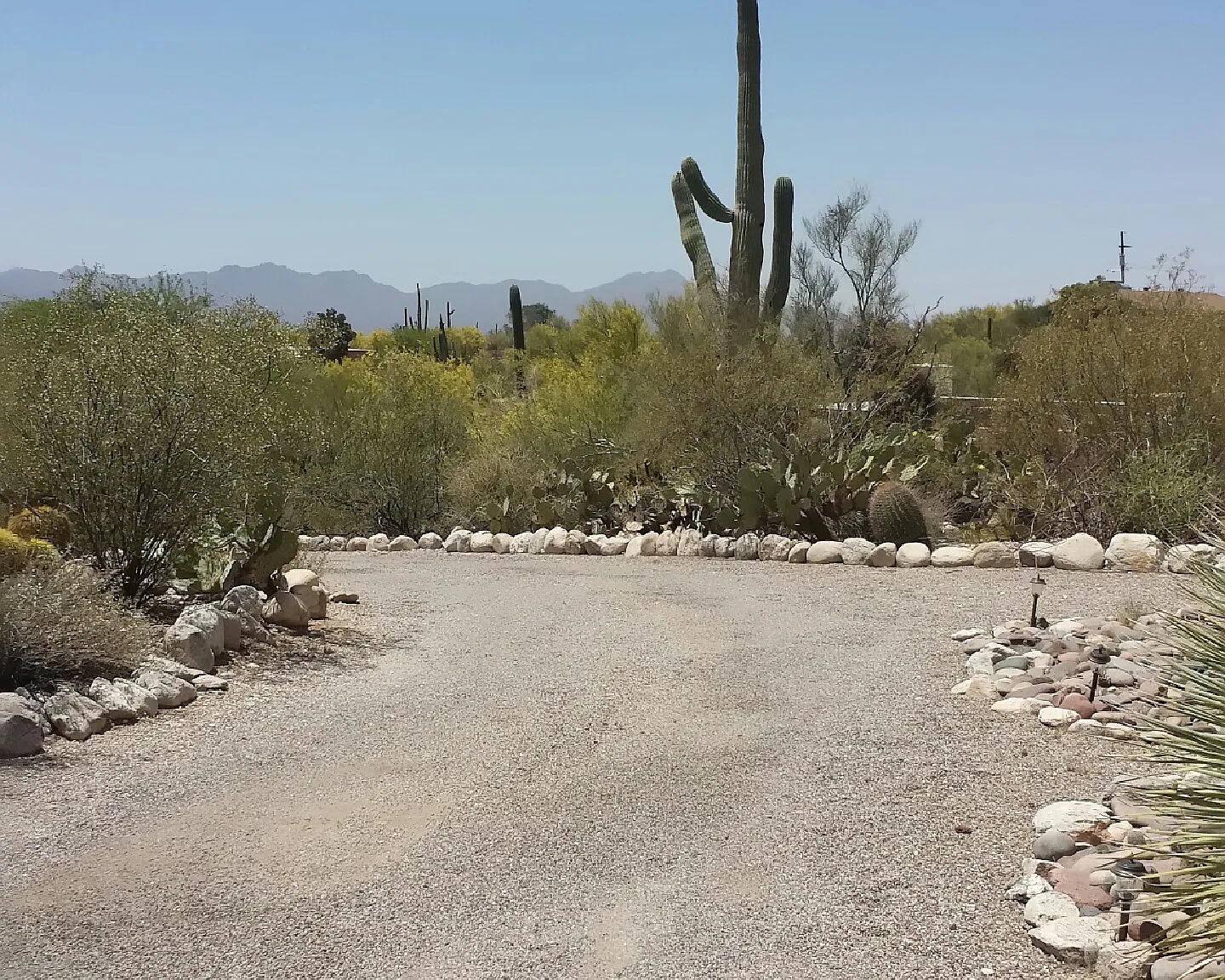 3 bed, 2012 sqft, $3,950 — Photo 4