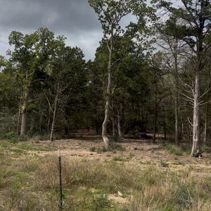 15 Antioch Rd, Paige TX - Owner Finance Home