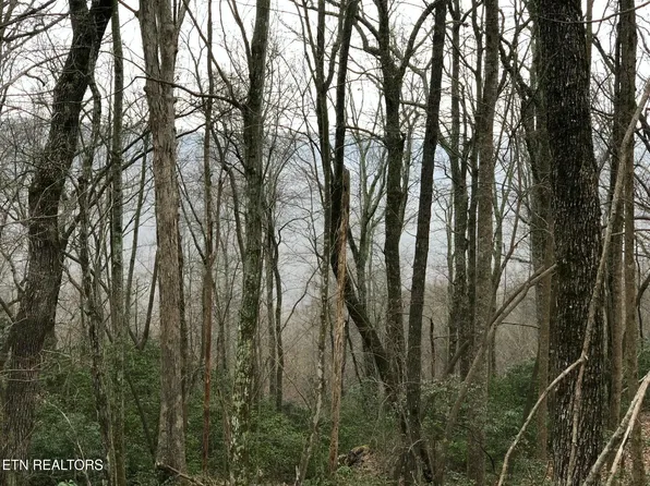 Cumberland Cove Rd, Monterey, TN 38574