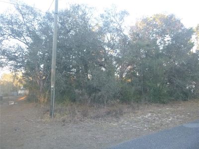 8253 N Krouse Way Lot 4, Dunnellon, FL, 34433