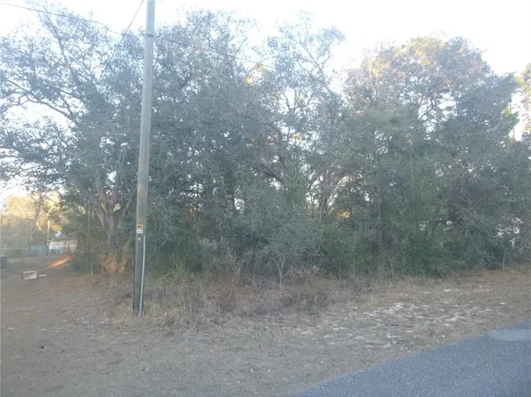 8253 N Krouse Way Lot 4, Dunnellon, FL 34433