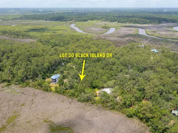 30 Black Island Rd W, Darien, GA 31305
