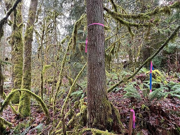 3rd image of 15026 Iceberg Road