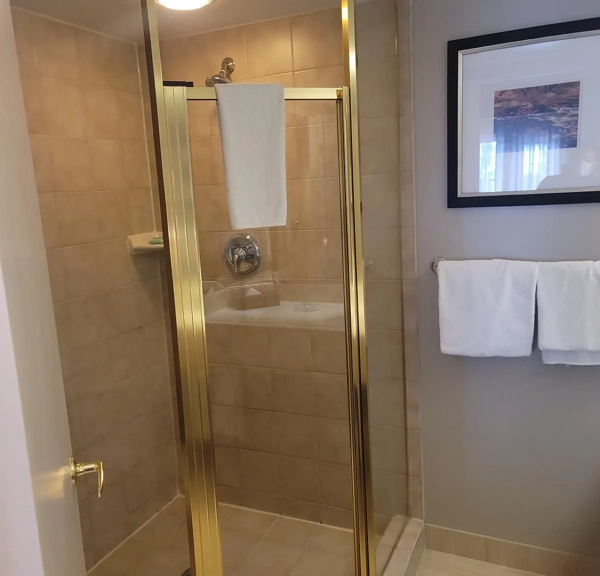 2 bed, $3,000 — Photo 4