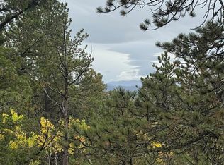 7935 County Road 51 LOT 32, Divide, CO 80814