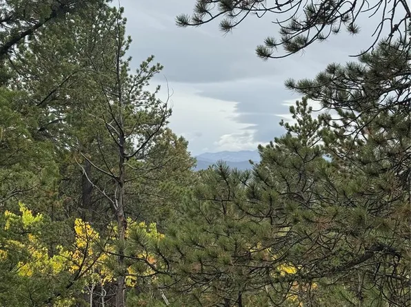 7935 County Road 51 LOT 32, Divide, CO 80814