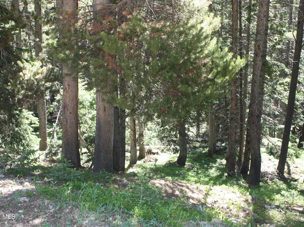 TBD Texas Circle, Idaho Springs, CO 80452
