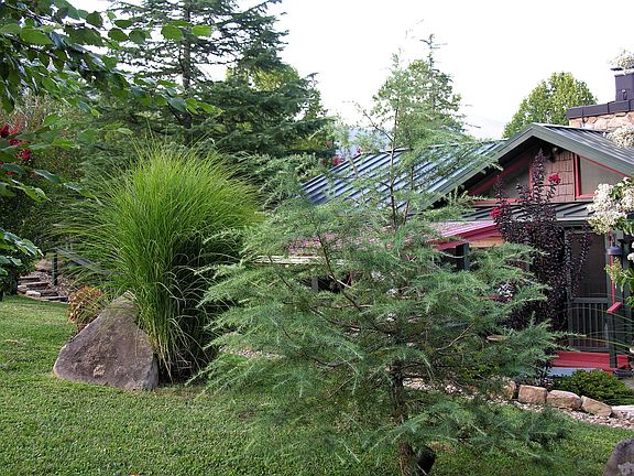 3rd image of 221 E Leatherwood Dr