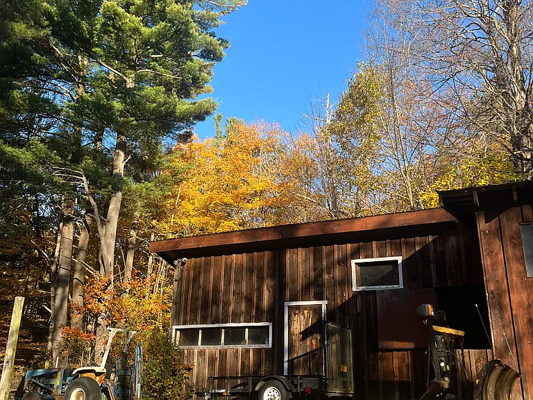 Harvey Mountain Rd — Photo 29