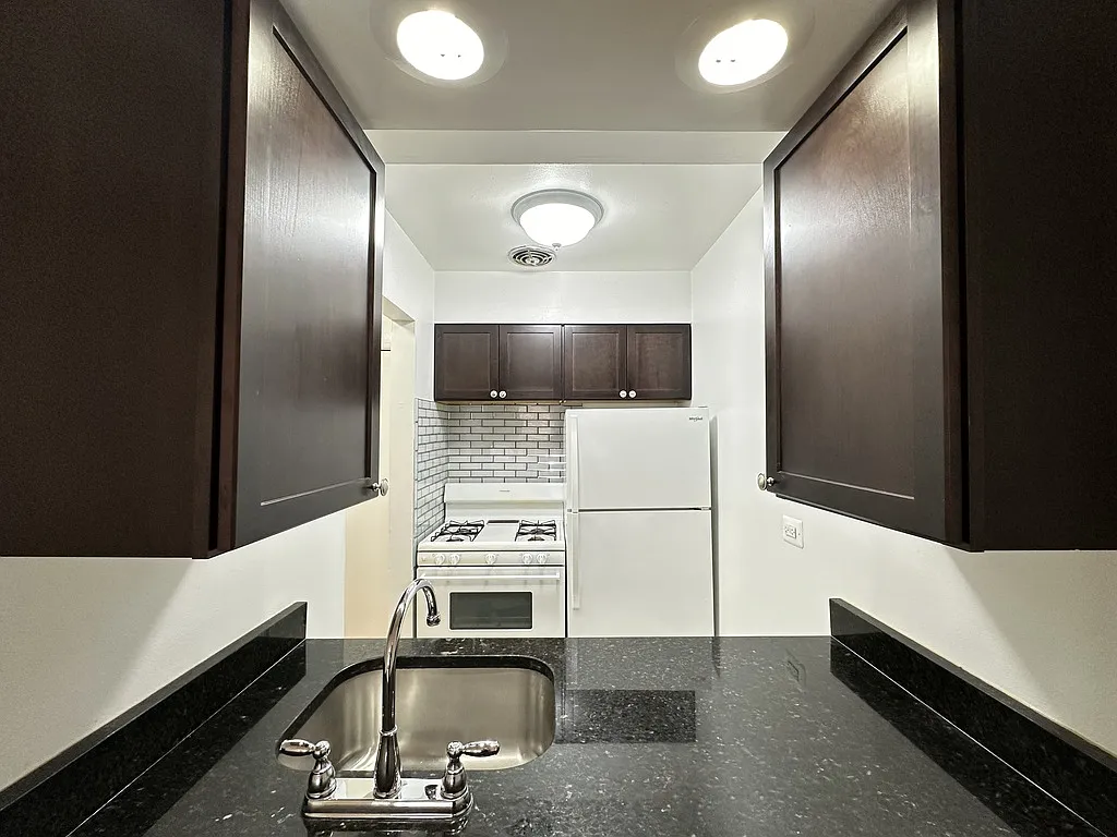 Magnificent Studio, 1 Bath at Sheridan + Farwell (Rogers Park) — Photo 4