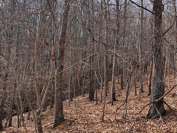 3rd image of Dunkard Church Rd