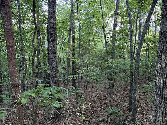 5th image of LOT 46 Fox Run Dr