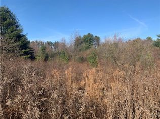 121 Birch Ln, Kunkletown, PA 18058